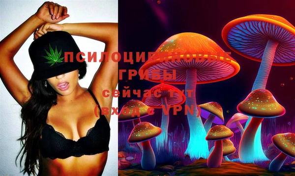 кокс Арсеньев