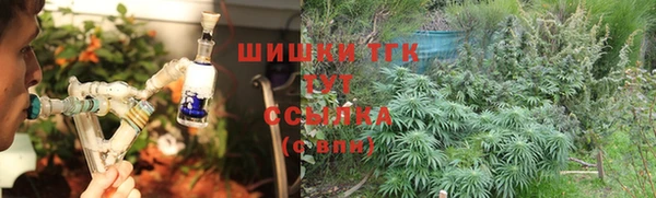 кокс Арсеньев
